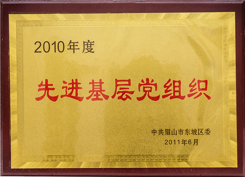 2010年度先进基层党组织